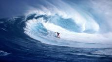 surf.jpg
