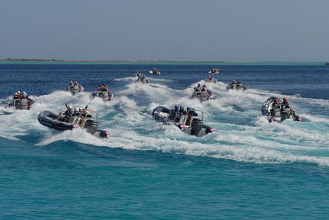 Rib Rally
