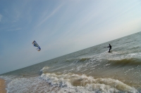 p0000336.jpg