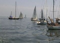 Regata.jpg