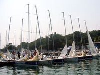 regata-1.jpg