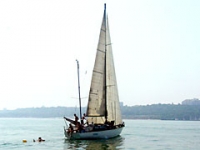 regata-3.jpg