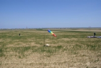 DSC01454.JPG