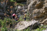 DSC01584.JPG