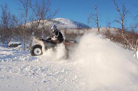 DSC_0037.jpg
