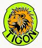 Сноубордические комбинезоны TIGON tigon3_kopiya.jpg